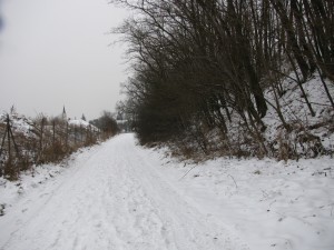 Zdenda
